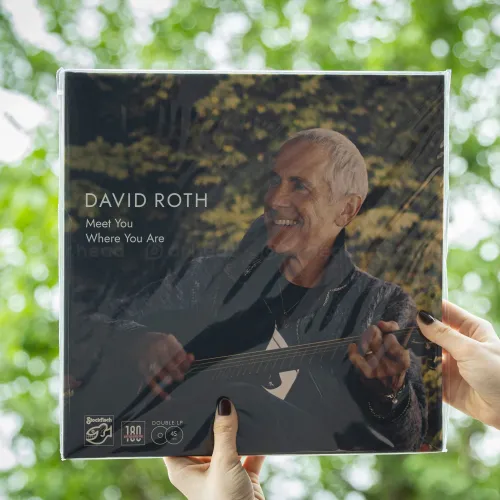 David Roth - Meet You Where You Are 2LP