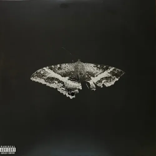 Kendrick Lamar – To Pimp A Butterfly - Metallic Blends - 2LP