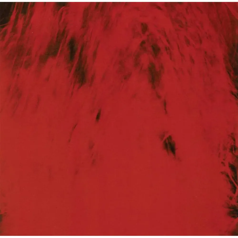 Dead Can Dance - Spiritchaser