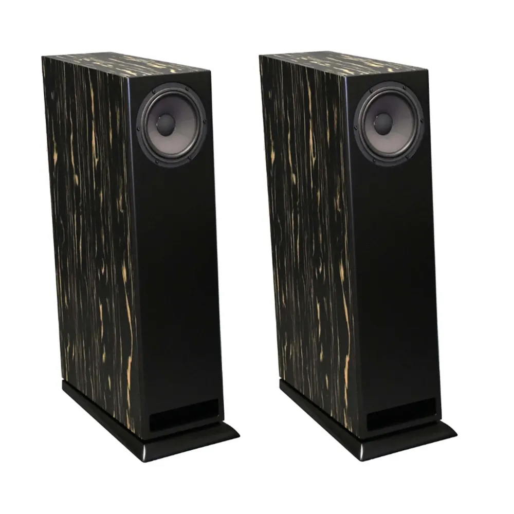 Davis Acoustics MV One Master Ebony