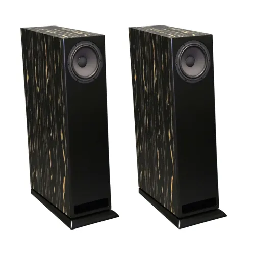 Davis Acoustics MV One Master Ebony