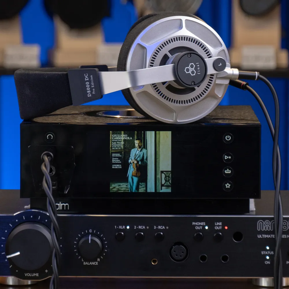 Final Audio D8000 DC Pro Edition Silver