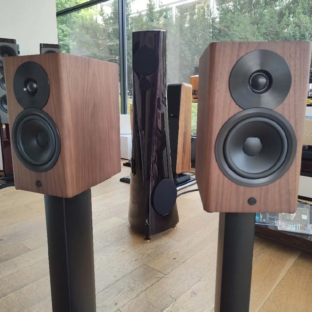 Dynaudio Focus 10 Walnut Wood