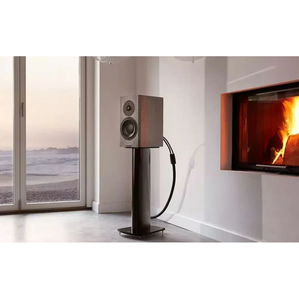 Dynaudio Special Forty Black Vine High Gloss