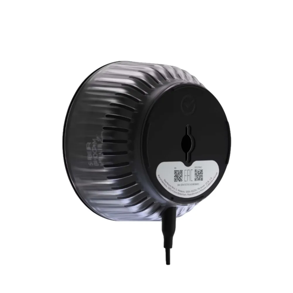 SberDevices SberBoom Mini 2 Quantum Black