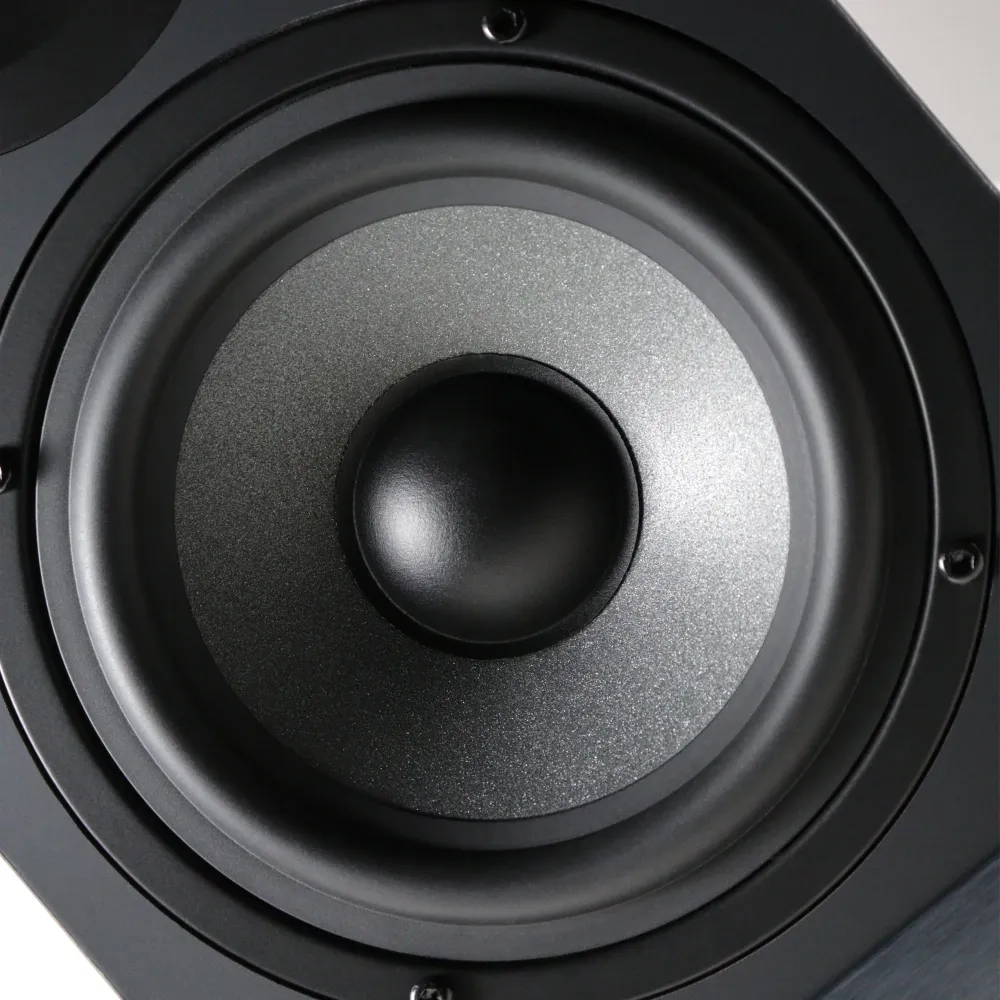 Radiotehnika S-20N Black Ash