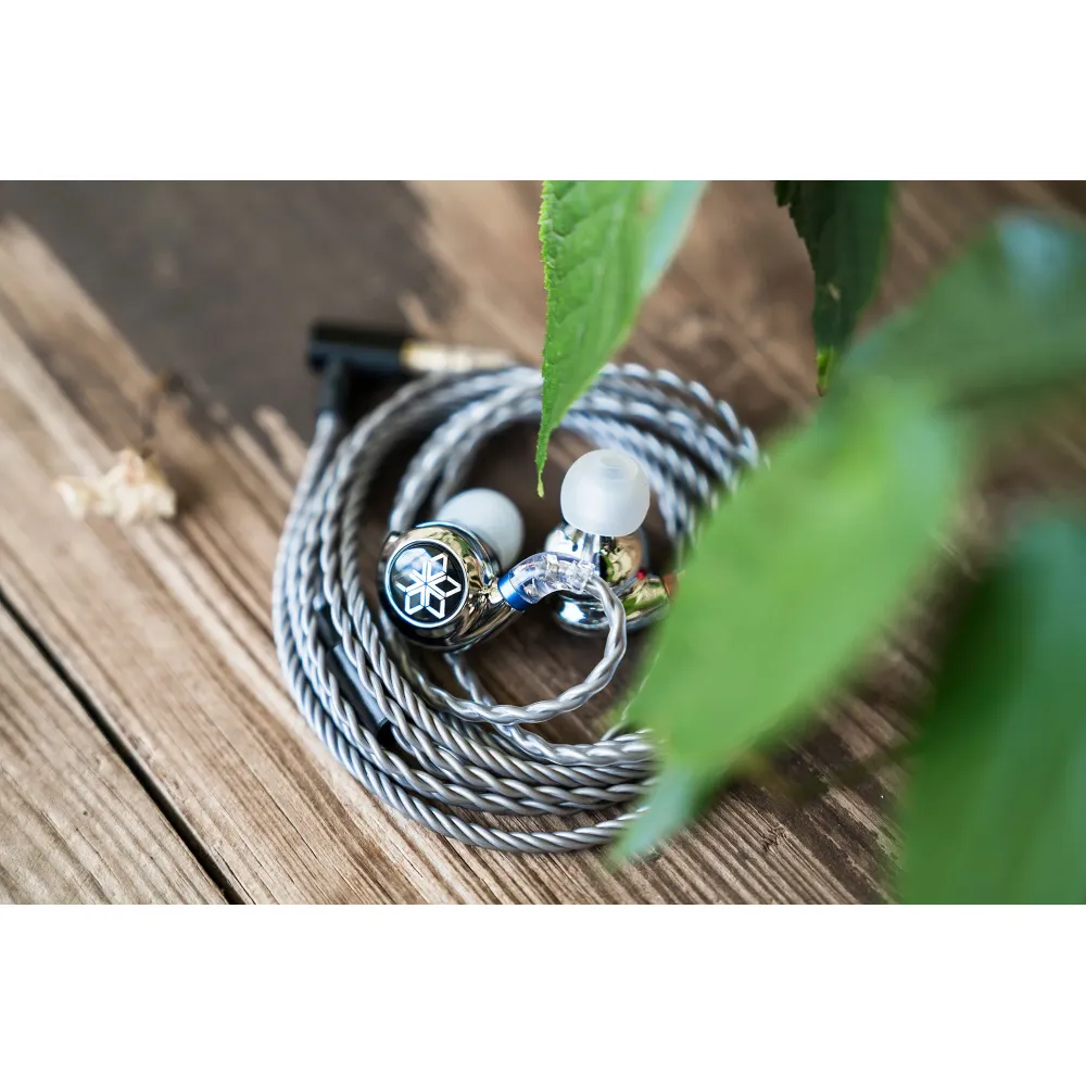 FiiO FD11 With Mic Silver