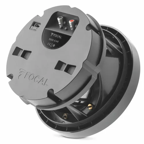 Focal 1000 ICA 6