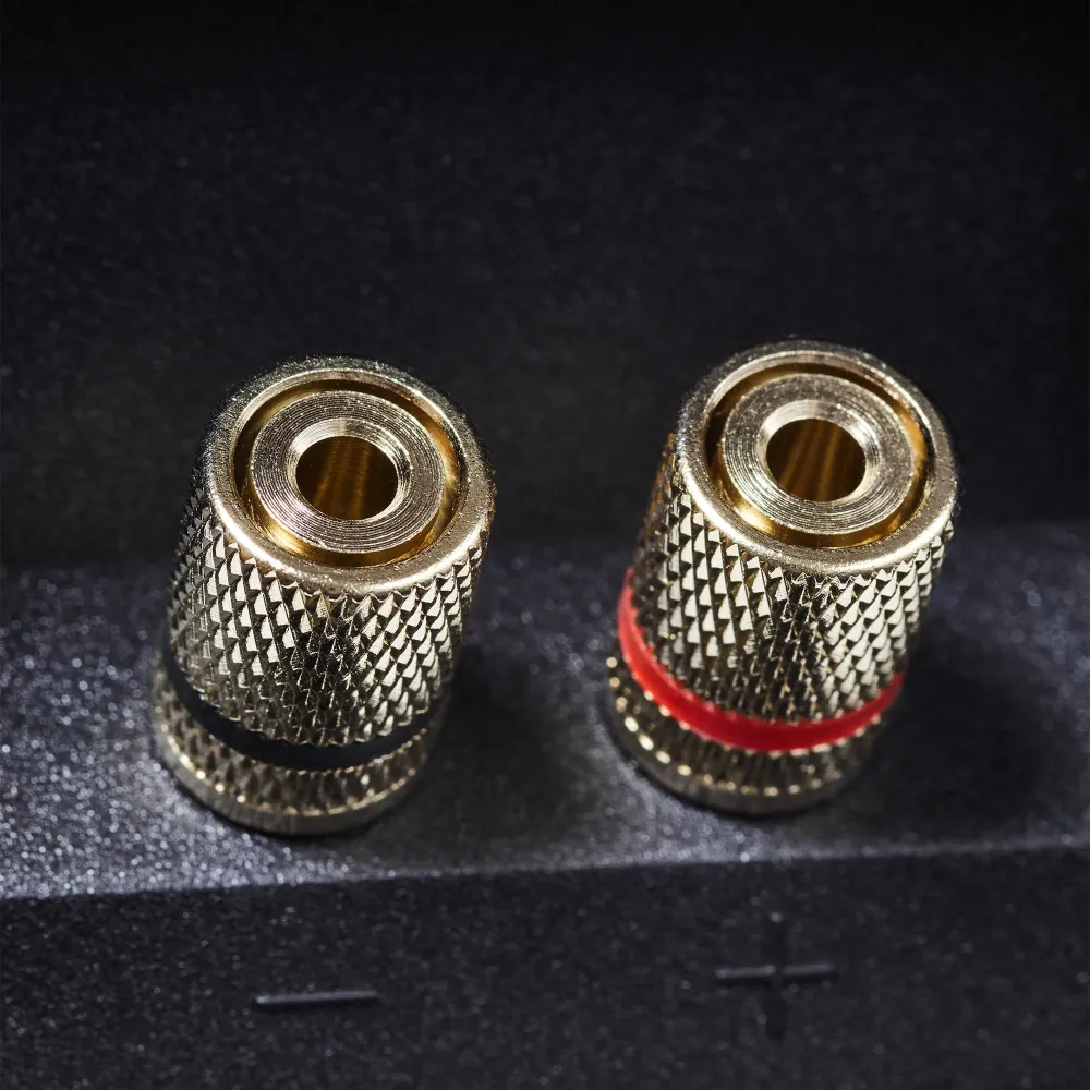 Radiotehnika Alfa 1.01 MKII Black Ash