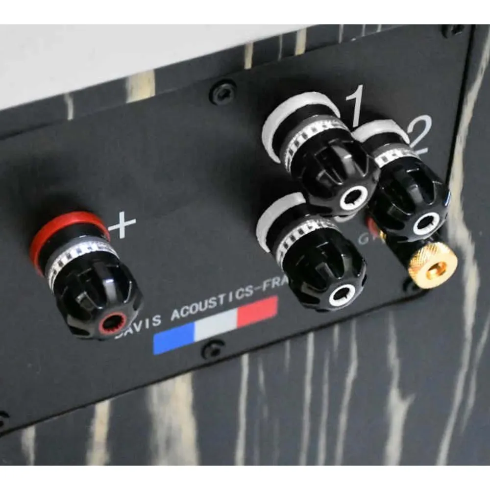 Davis Acoustics MV One Master Ebony