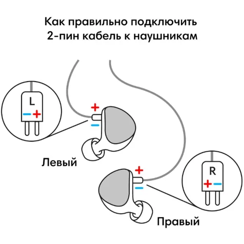 Aurian Forest Custom