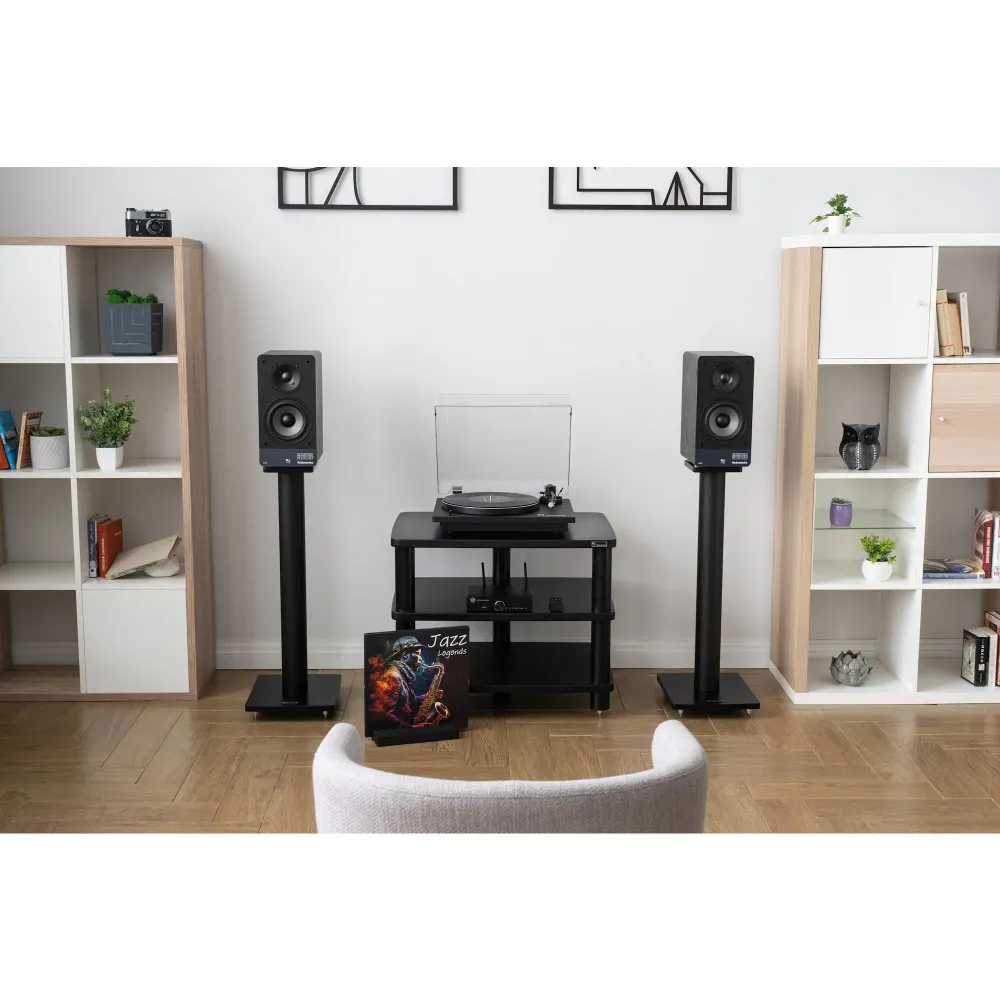 Radiotehnika S-20N Black Ash