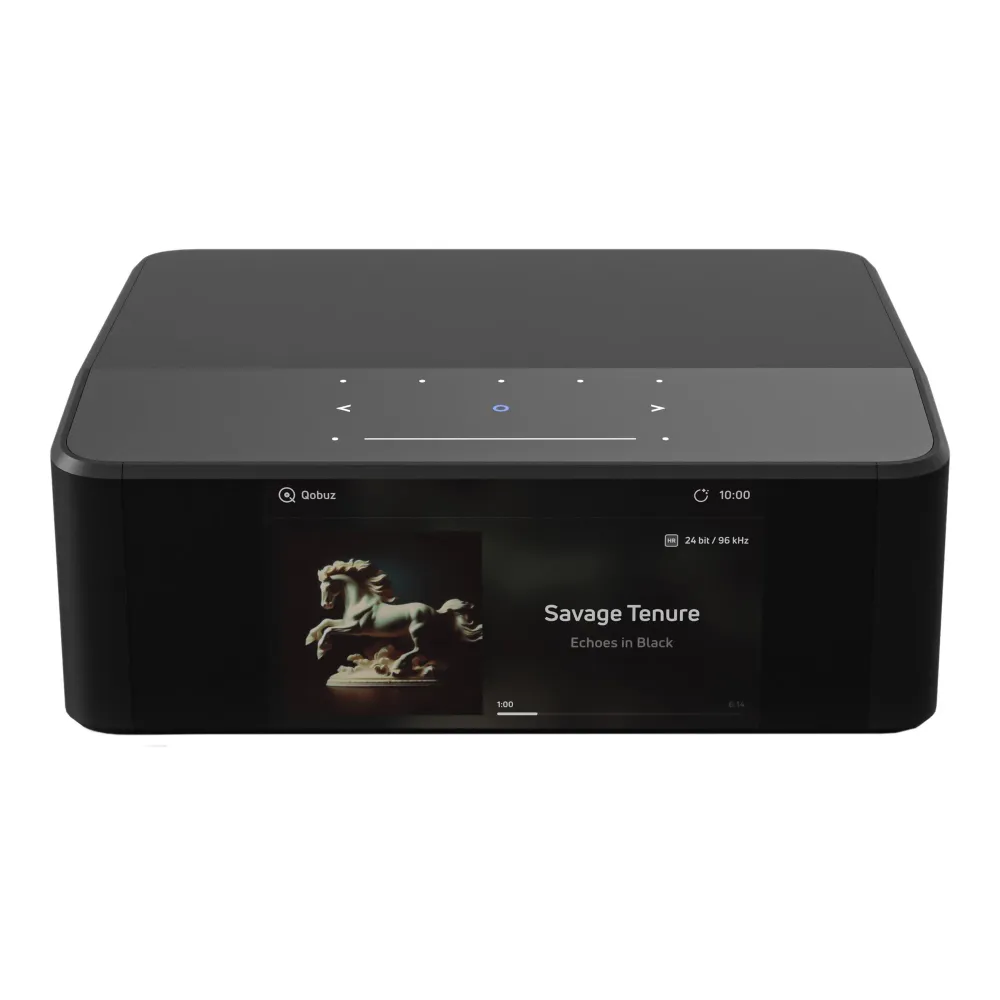 Bluesound NODE Icon (N530)