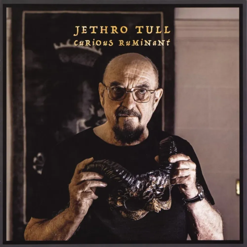 Jethro Tull - Curious Ruminant LP