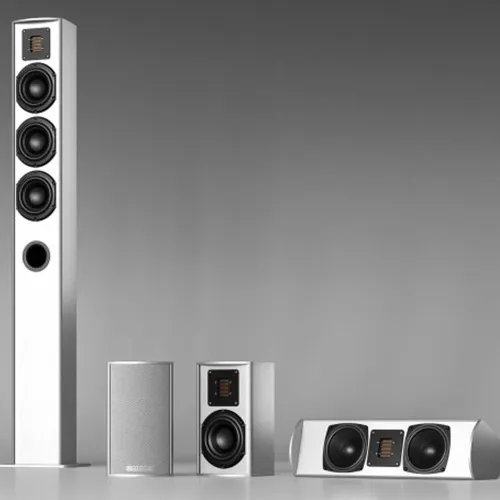 Piega TMicro Center AMT Silver