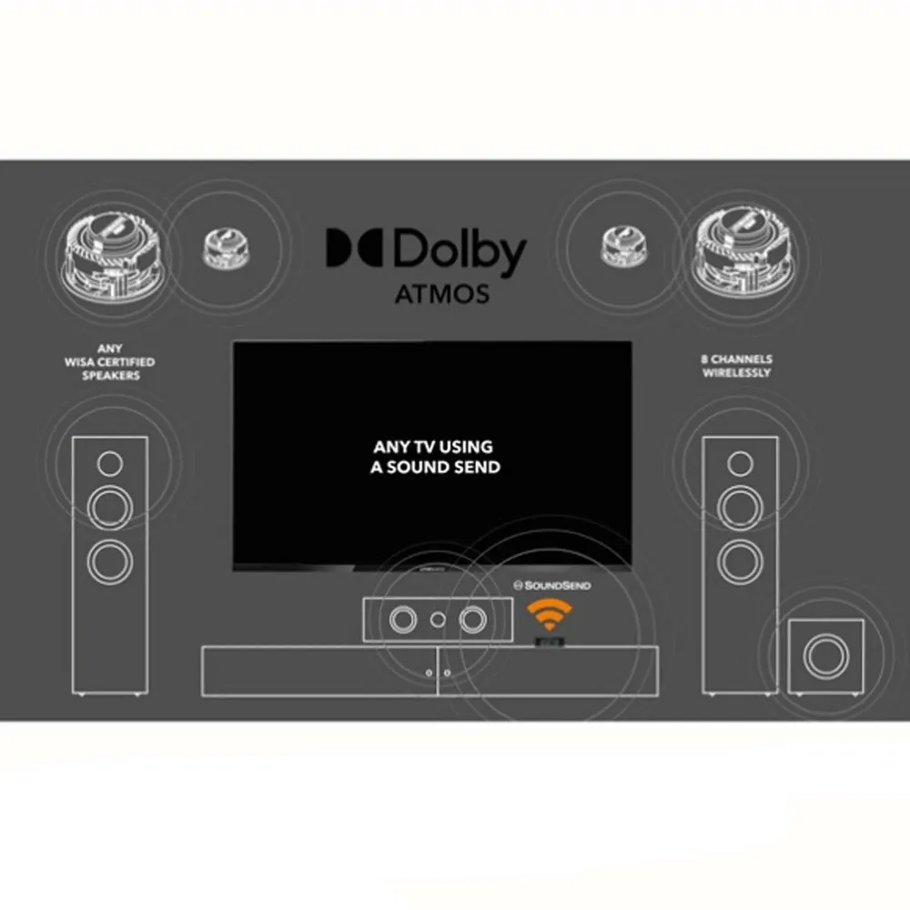 Lithe Audio WISA Module Bolt On