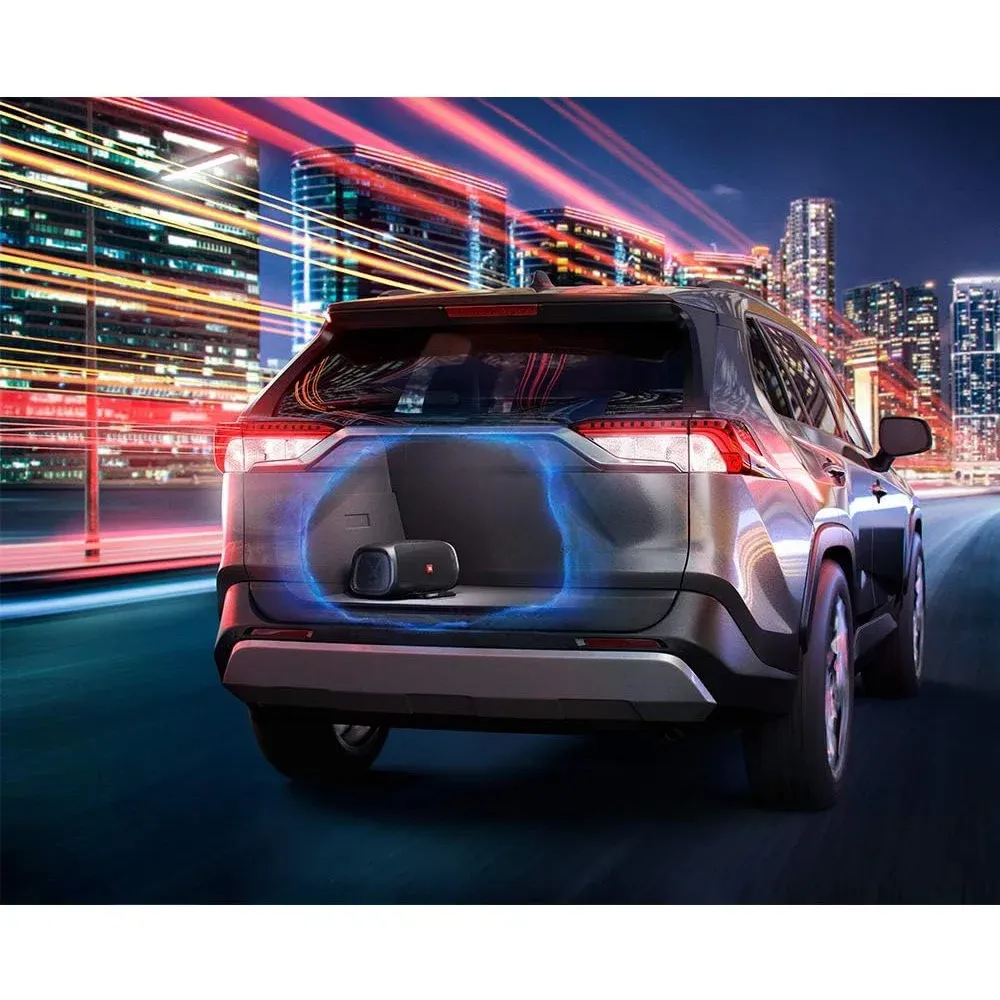 JBL BassPro Go Black