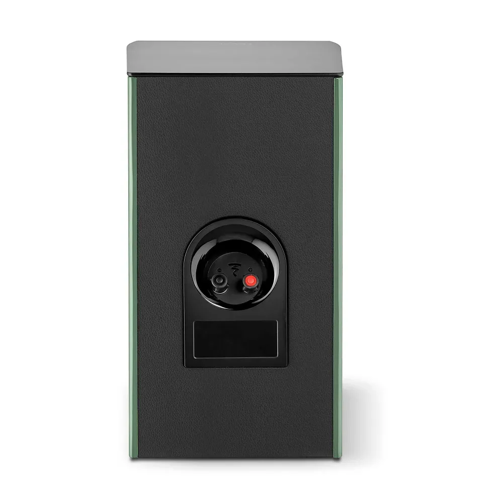 Focal Aria Evo X N1 Green Moss