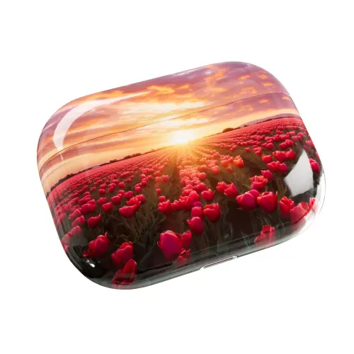 Apple AirPods Pro 2nd gen with MagSafe USB-C (2023) Tulip Fields