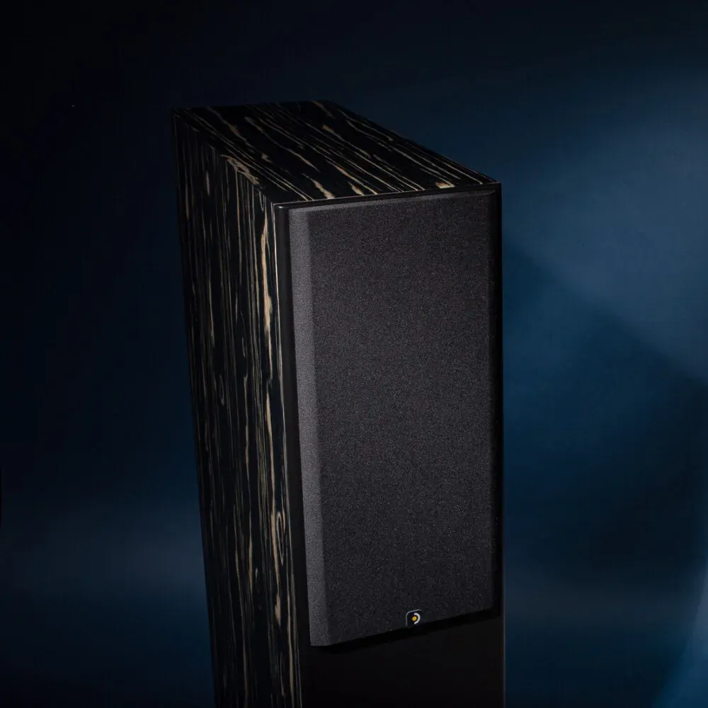 Davis Acoustics MV One Master Ebony