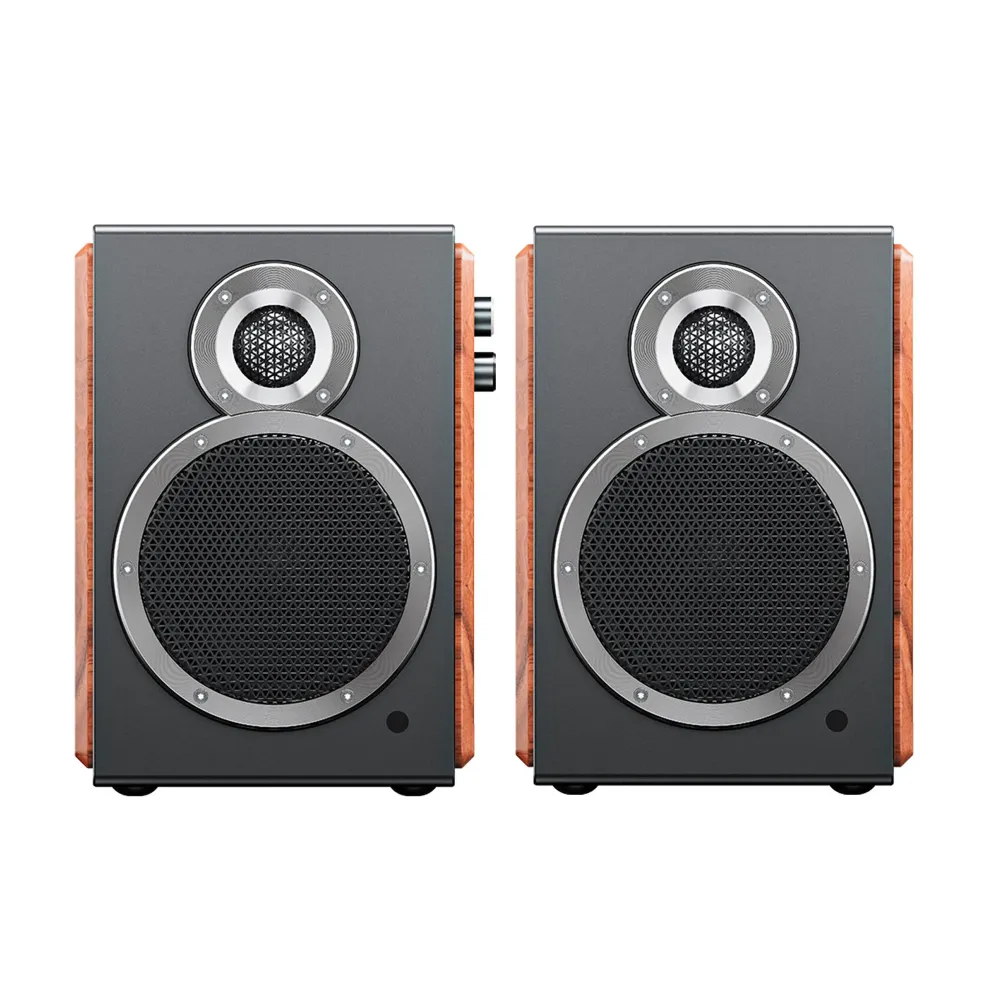 FiiO SA1 Twilight Black