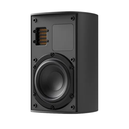 Piega Ace 30 Wireless RX Black