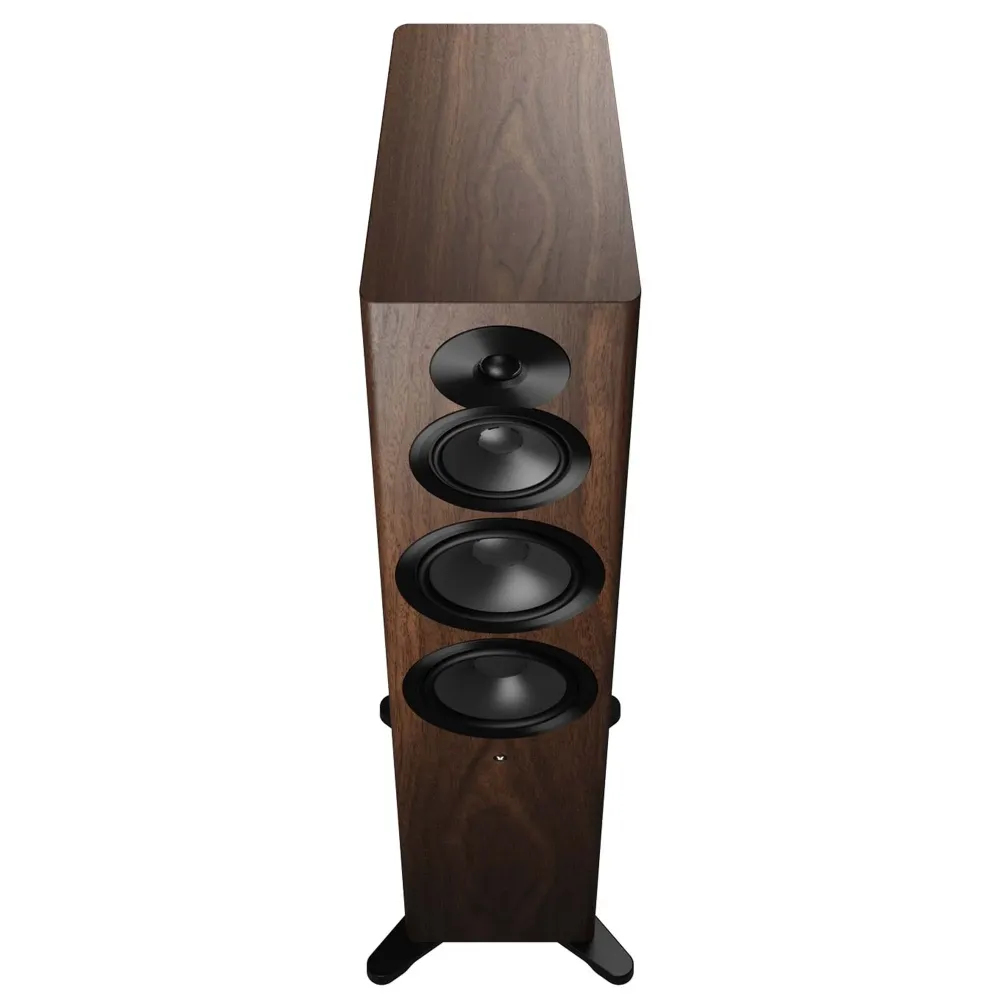 Dynaudio Focus 50 Walnut Wood