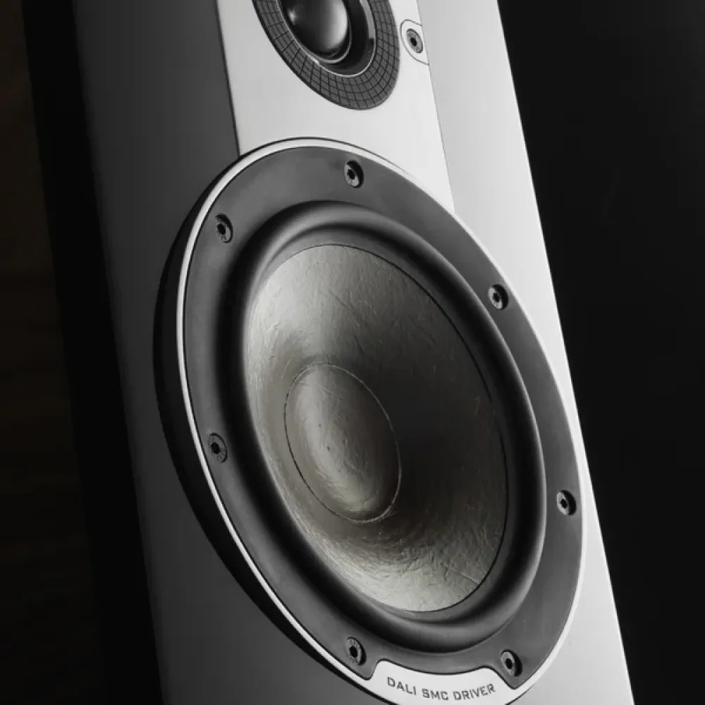 Dali Spektor Vokal walnut