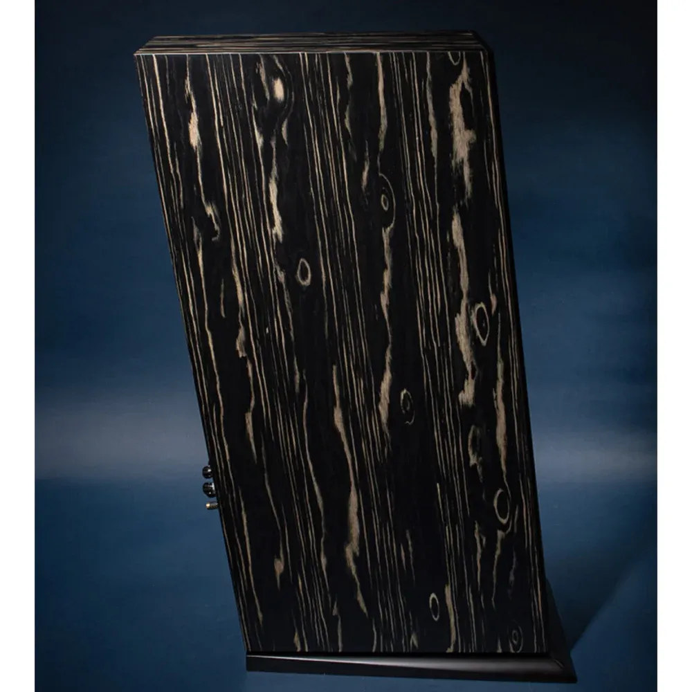 Davis Acoustics MV One Master Ebony