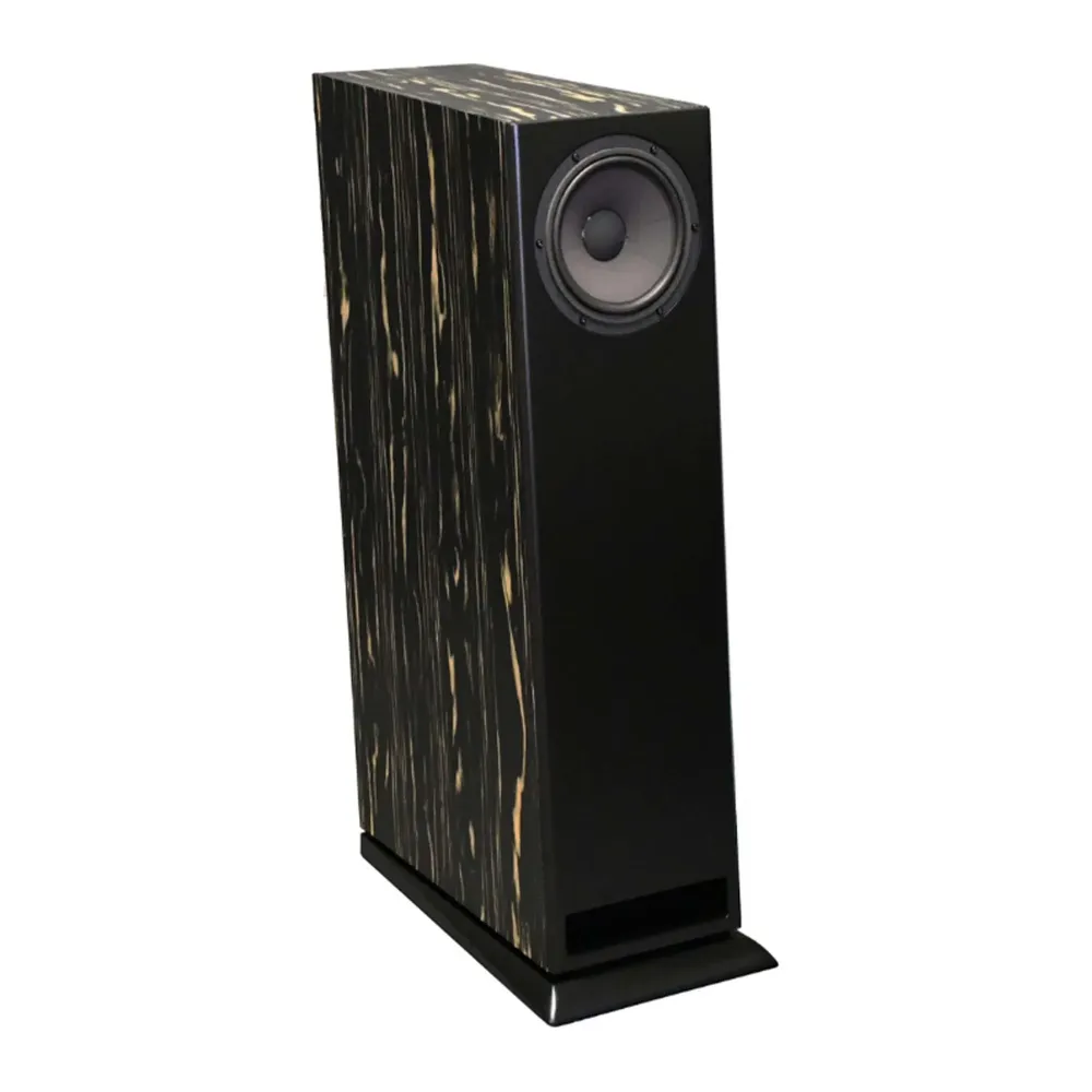 Davis Acoustics MV One Master Ebony