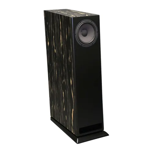 Davis Acoustics MV One Master Ebony