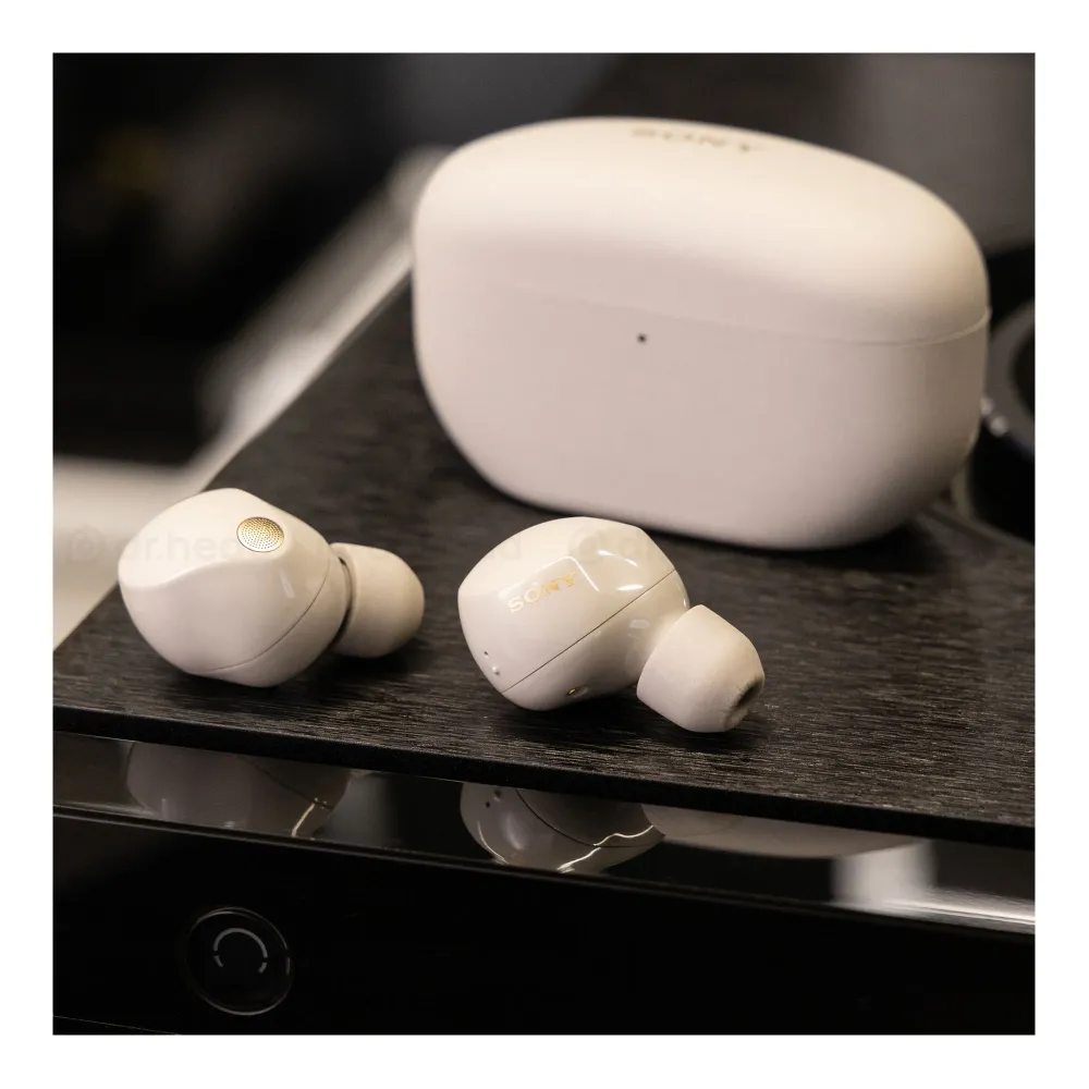 Sony WF-1000XM5 Silver