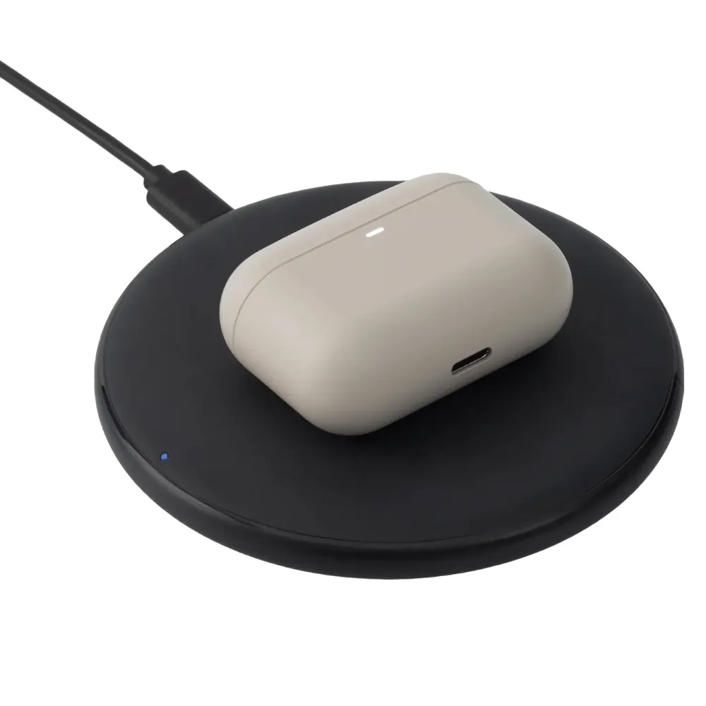 Final Audio ZE500 for ASMR Dark Gray