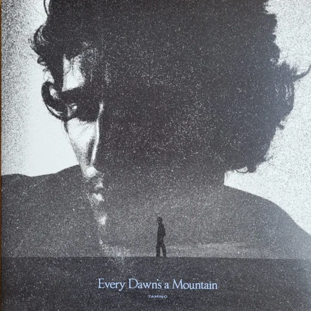 Tamino – Every Dawn's A Mountain - LP