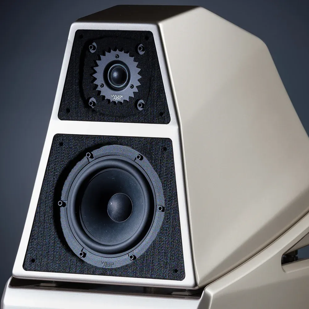 Wilson Audio Sasha DAW Galaxy Gray