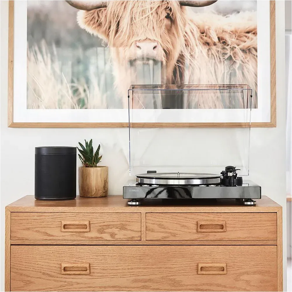 Yamaha TT-N503 Black