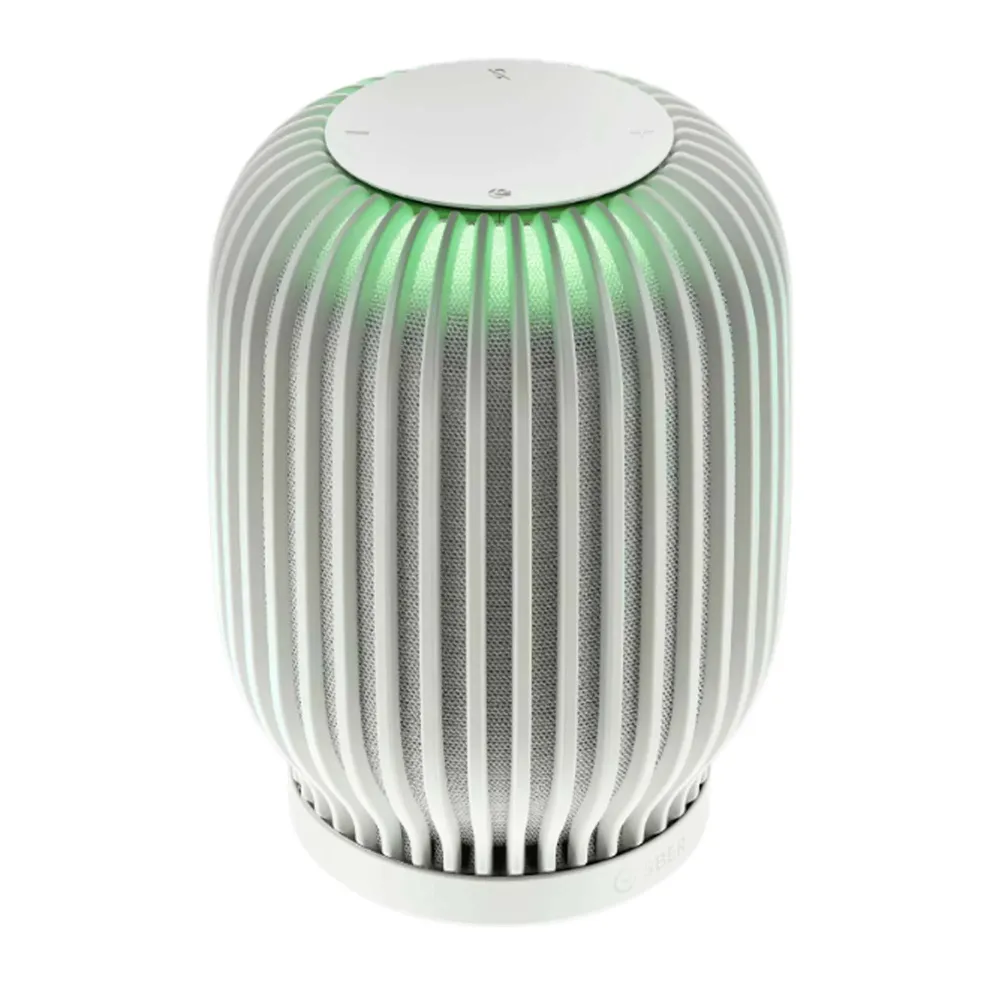 SberDevices SberBoom Light Grey