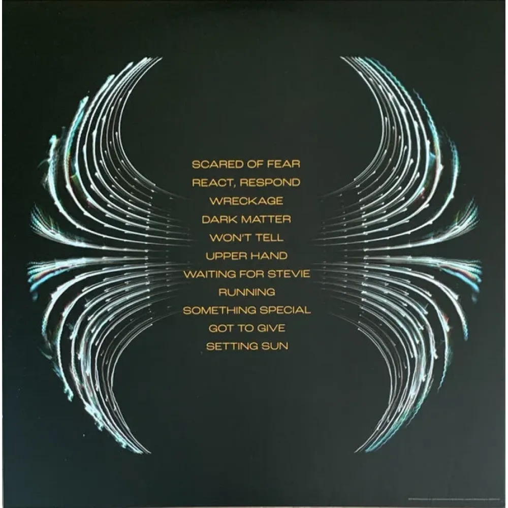 Pearl Jam - Dark Matter - LP