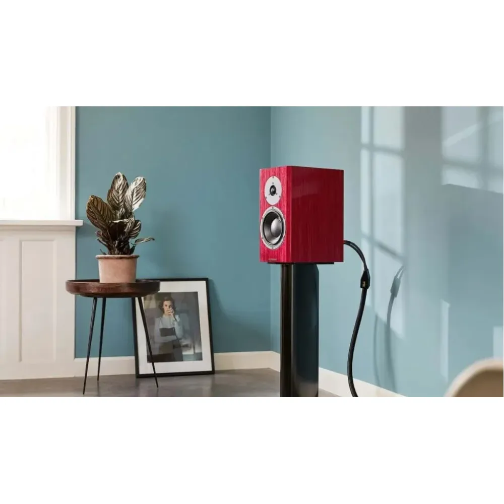 Dynaudio Special Forty Black Vine High Gloss