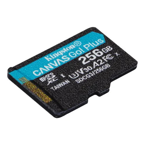 Kingston Canvas Go Plus 256Gb