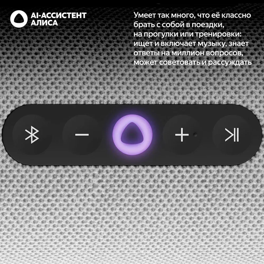 Яндекс Станция Стрит Grey