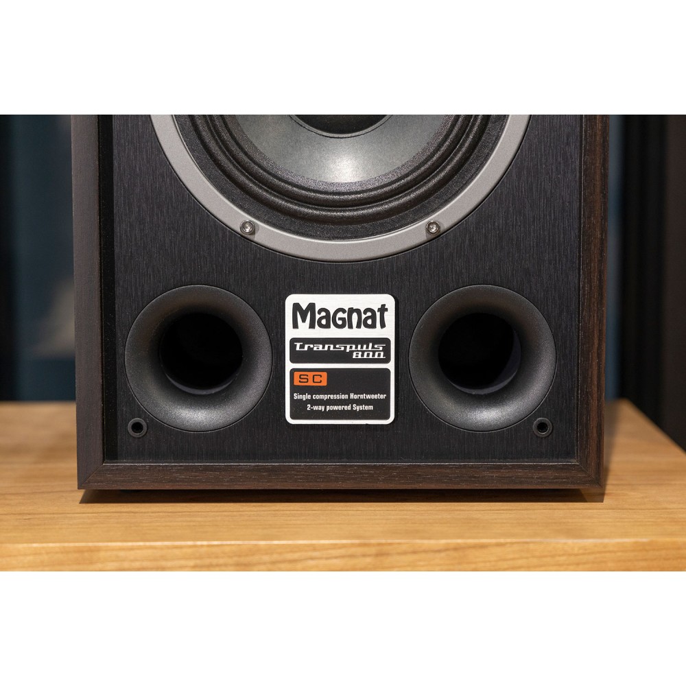 Magnat Transpuls 800A