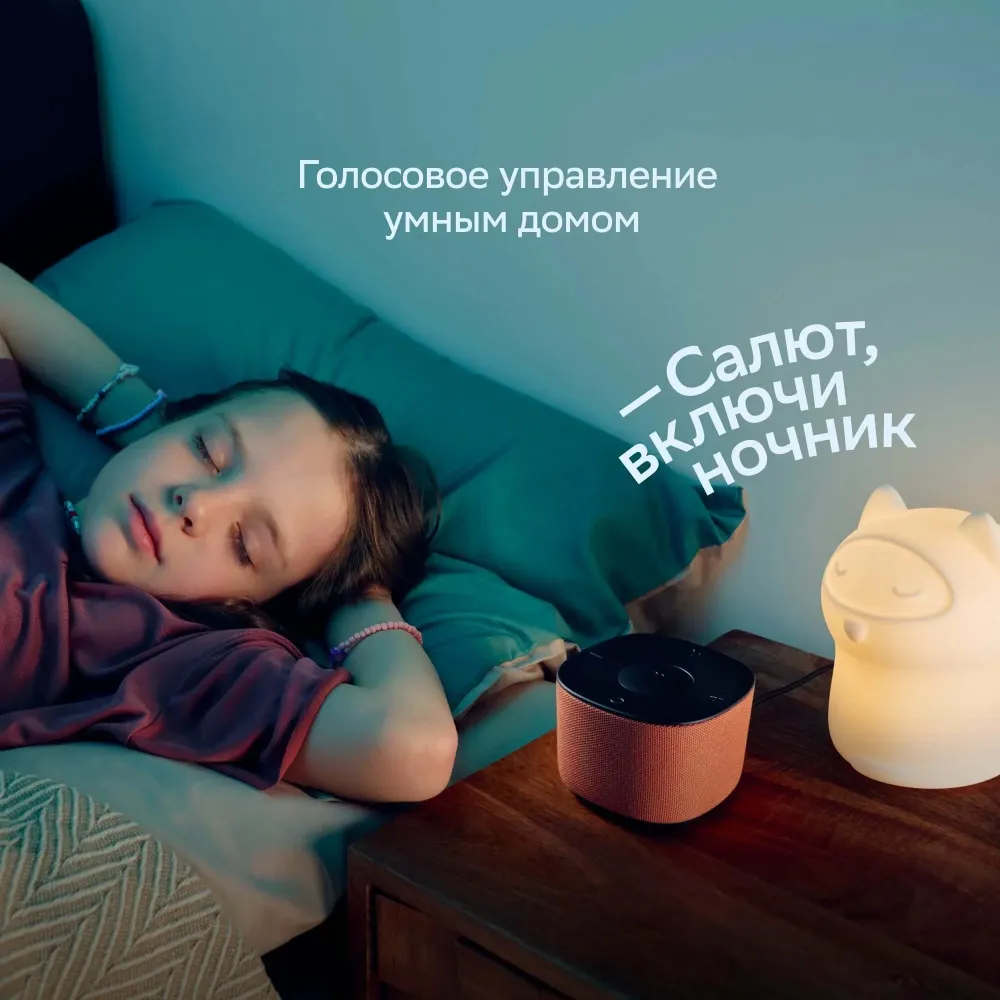 SberDevices SberBoom Home Pistachio