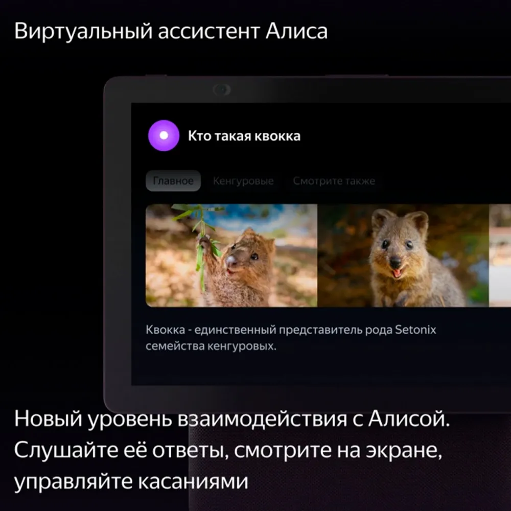 Яндекс Дуо Макс с Zigbee Green