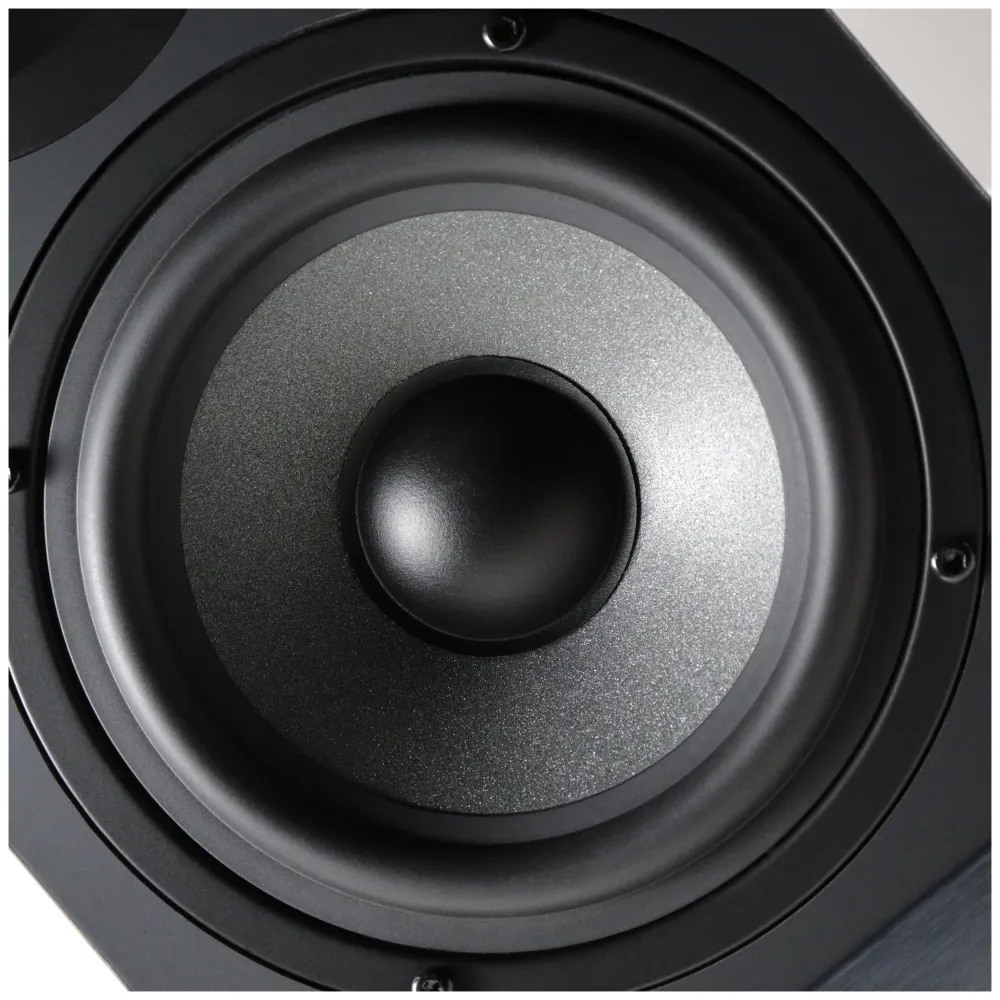 Radiotehnika S-20NA Black Ash