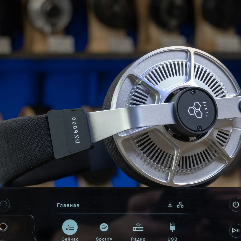 Final Audio DX6000 Black Silver