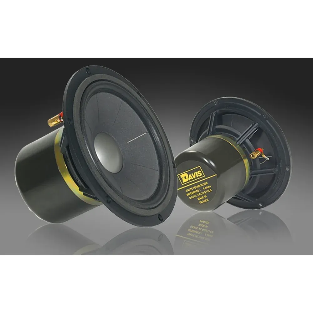 Davis Acoustics MV One Master Ebony