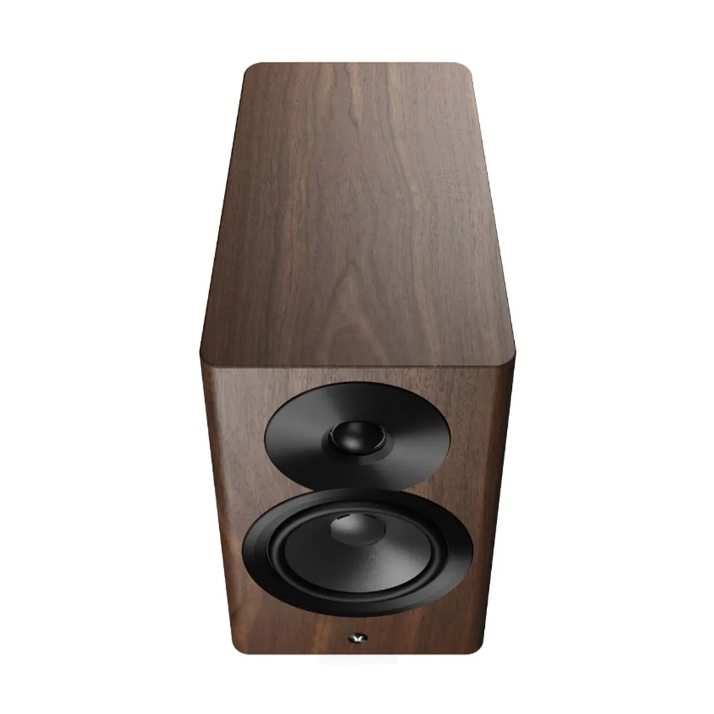 Dynaudio Focus 10 Walnut Wood