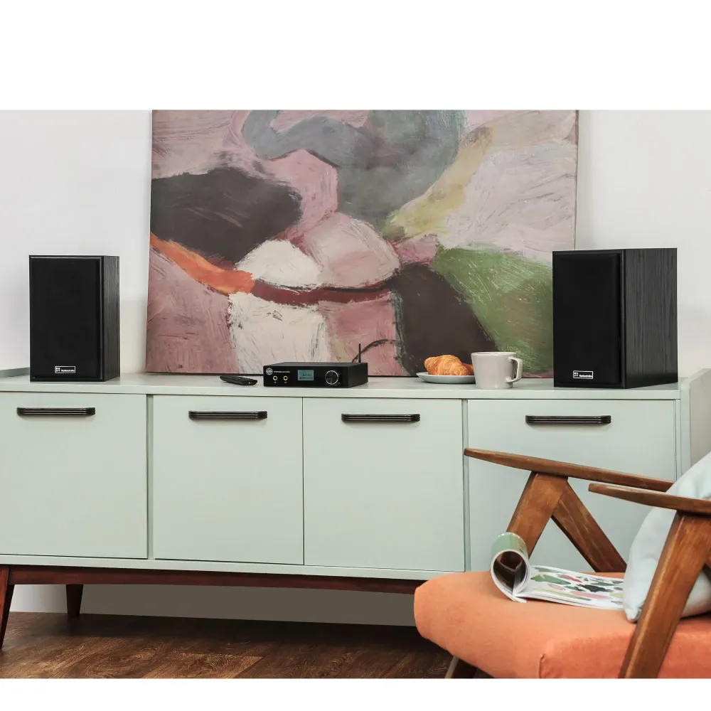 Radiotehnika Alfa 1.01 Black Ash