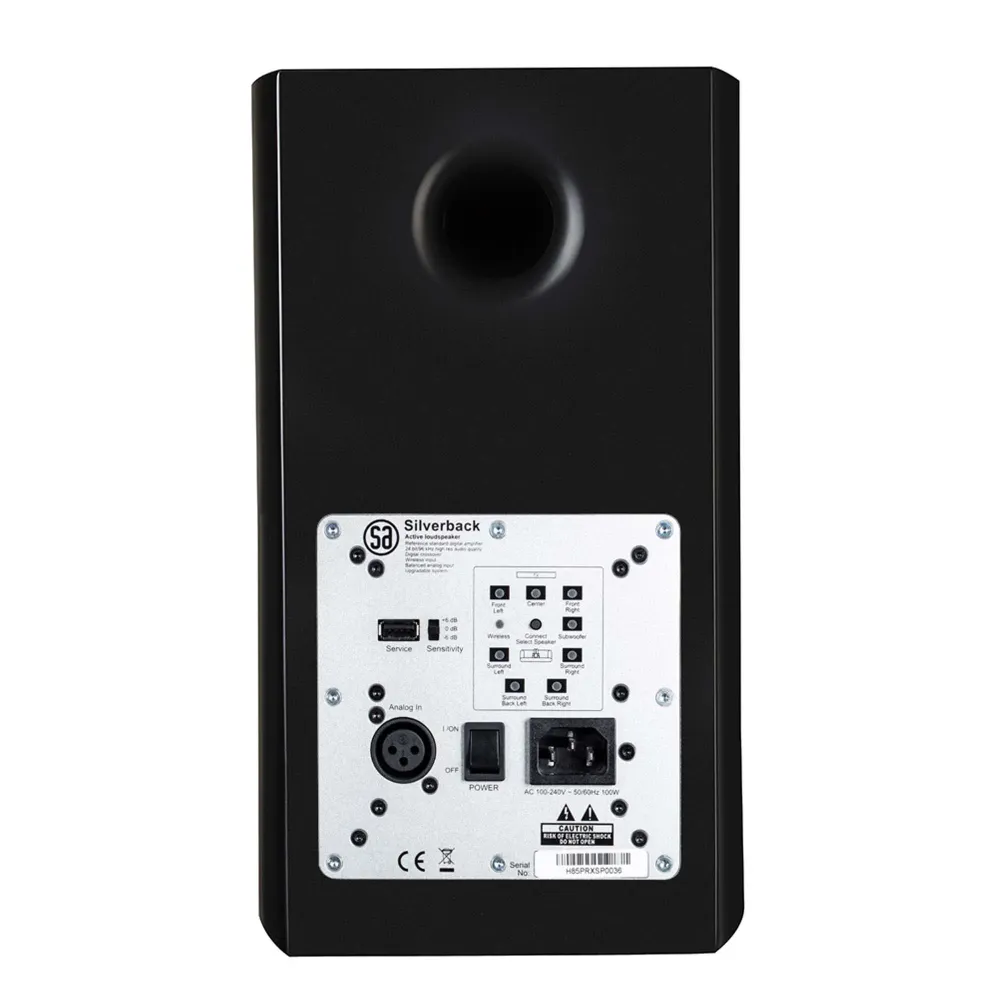 System Audio SA Legend 5.2 Silverback Satin Black